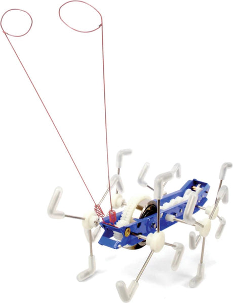 Kikkerland frogand mxykikker wind up - stworzenie - robot-zabawka - wyjątkowy prezent
