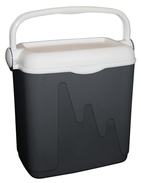 Lodówka Curver - 20l - antracyt