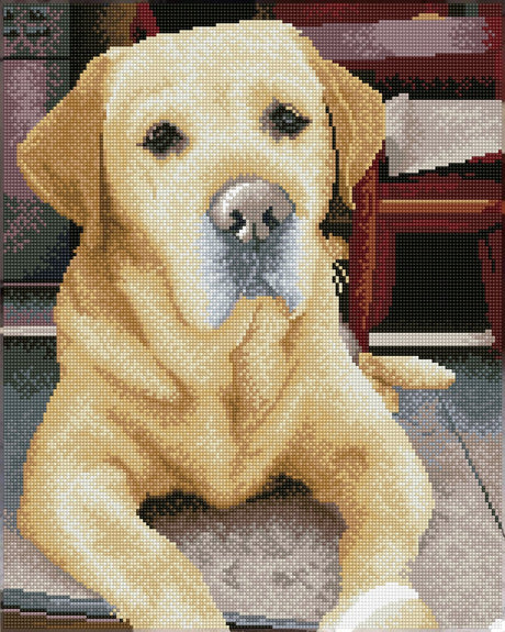 Diamentowy obraz dotz® - labrador - 48x58cm - kwadraty