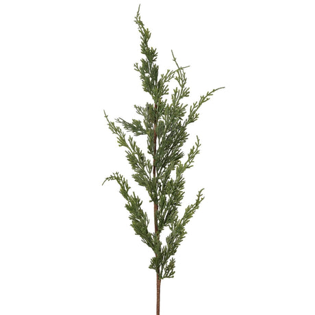 Roberts collection cedertak 80cm grijs