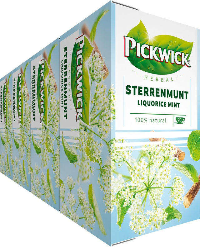 Herbata ziołowa Pickwick Star Mint - 4 x 20 torebek