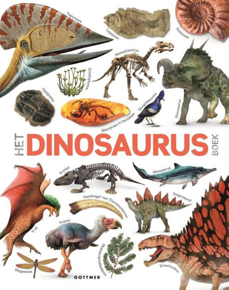 Gottmer grupa wydawnicza Książka o dinozaurach. 8+