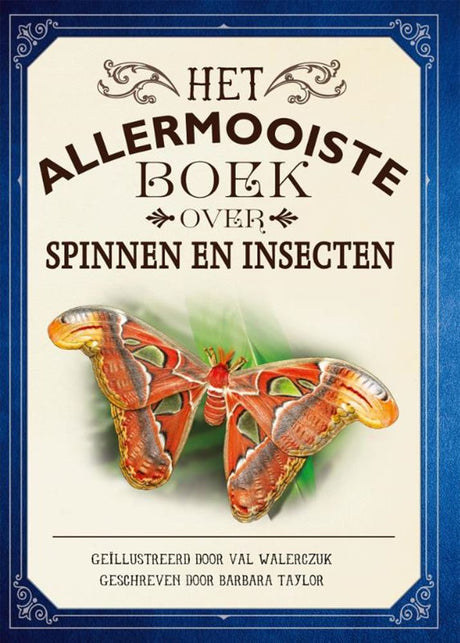 Het allermooiste boek over spinnen en in