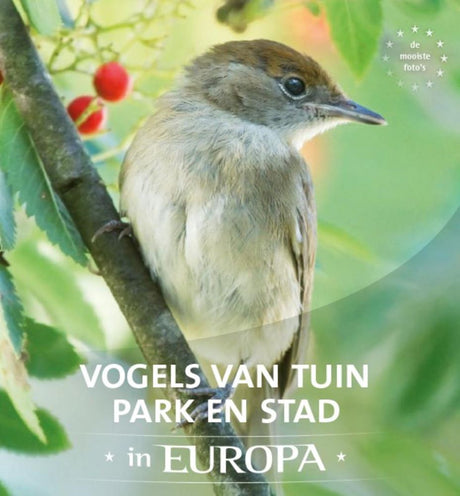 Vogels van tuin, park en stad in europa | 2 stuks