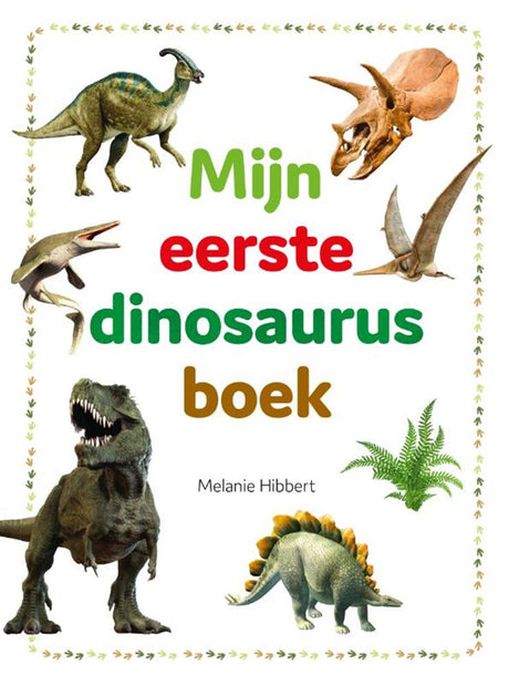 Rebo wydaje moją pierwszą książkę o dinozaurach 4+