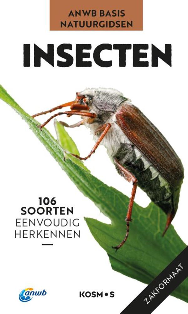 Anwb basis natuurgids - insecten | 2 stuks