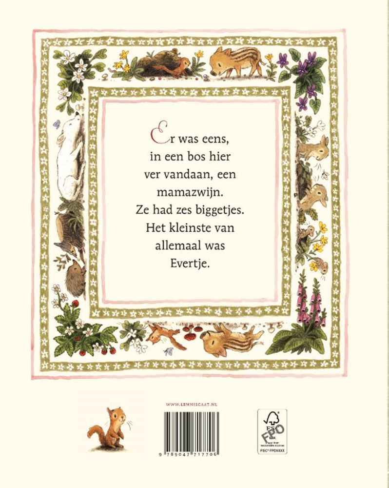 Prentenboek: evertje 4+ | 2 stuks