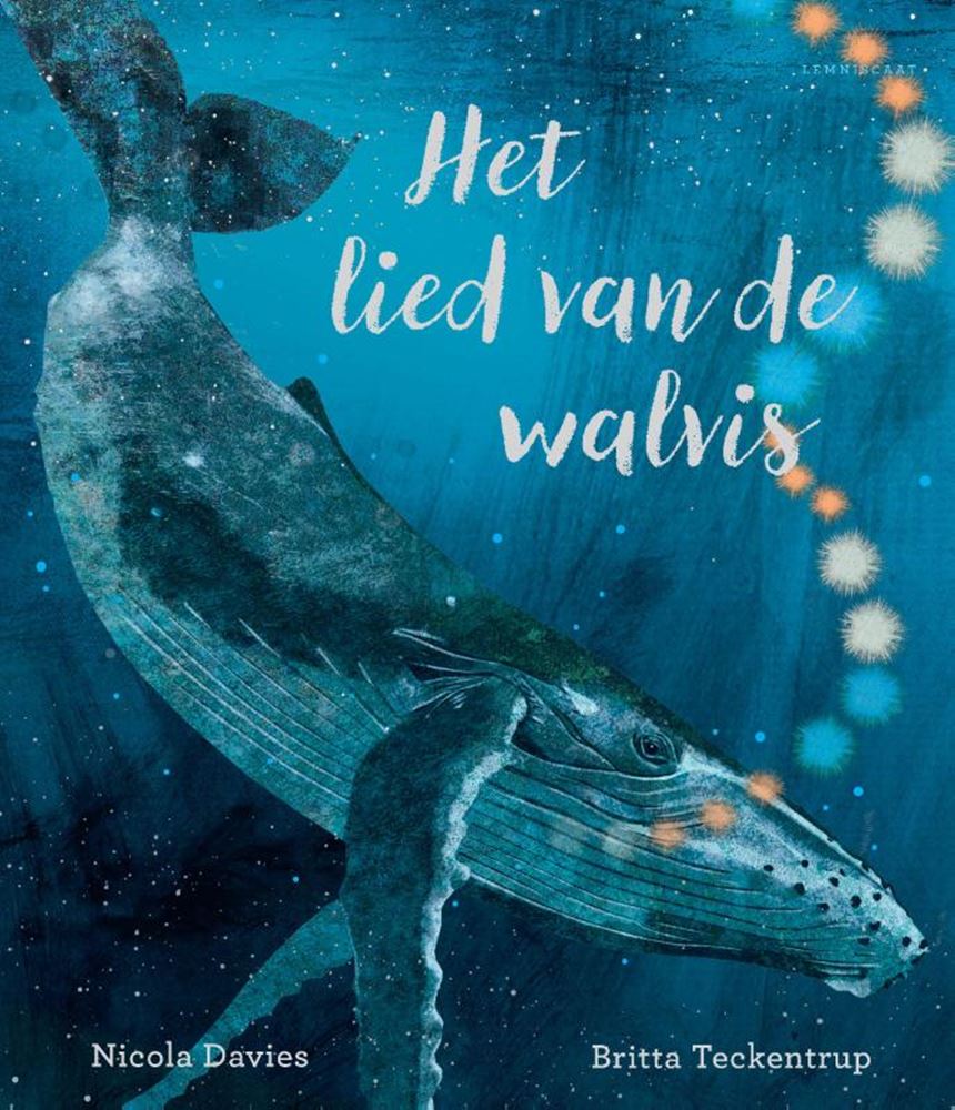 Het lied van de walvis 4+
