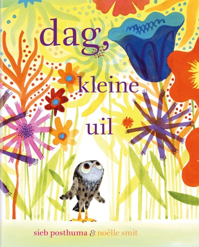Prentenboek: dag kleine uil 4+