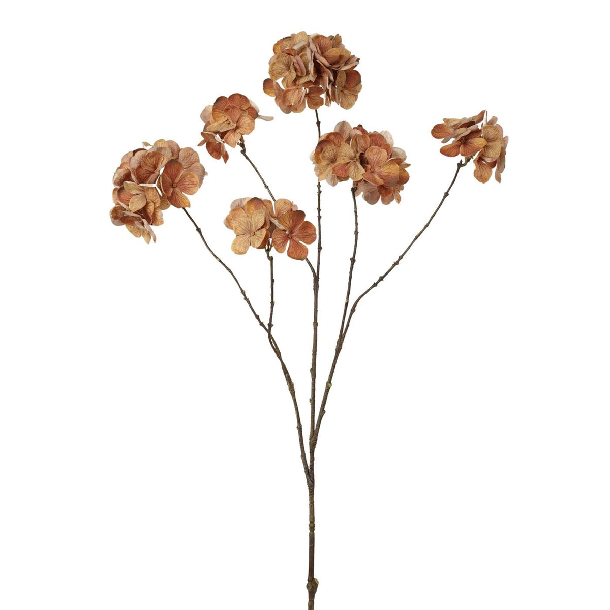 Roberts collection kunstbloem hortensia 100cm donker bruin