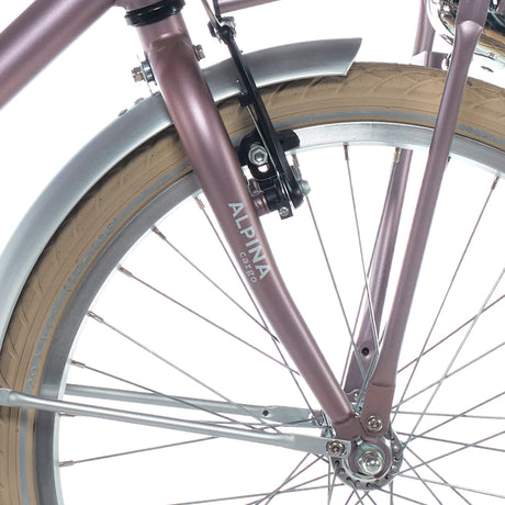 Alpina Fork 20 Cargo Wood Rose Matt