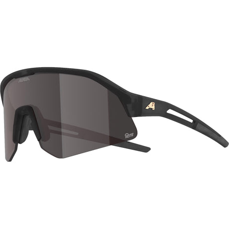 Olimpijska odzież sportowa Alpina sportowe okulary sportowe sonic hr m q-lite połysk szary
