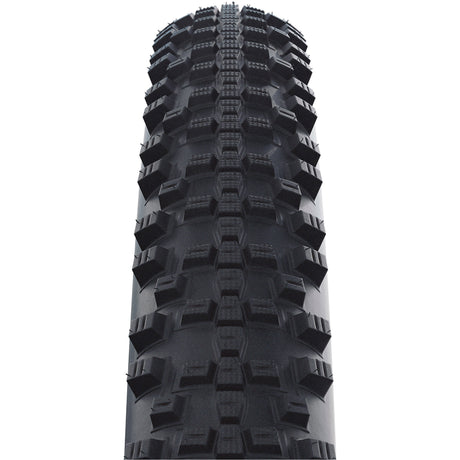 Schwalbe Tire Smart SAM Plus Performance 29 x 2,25 ZWNROL
