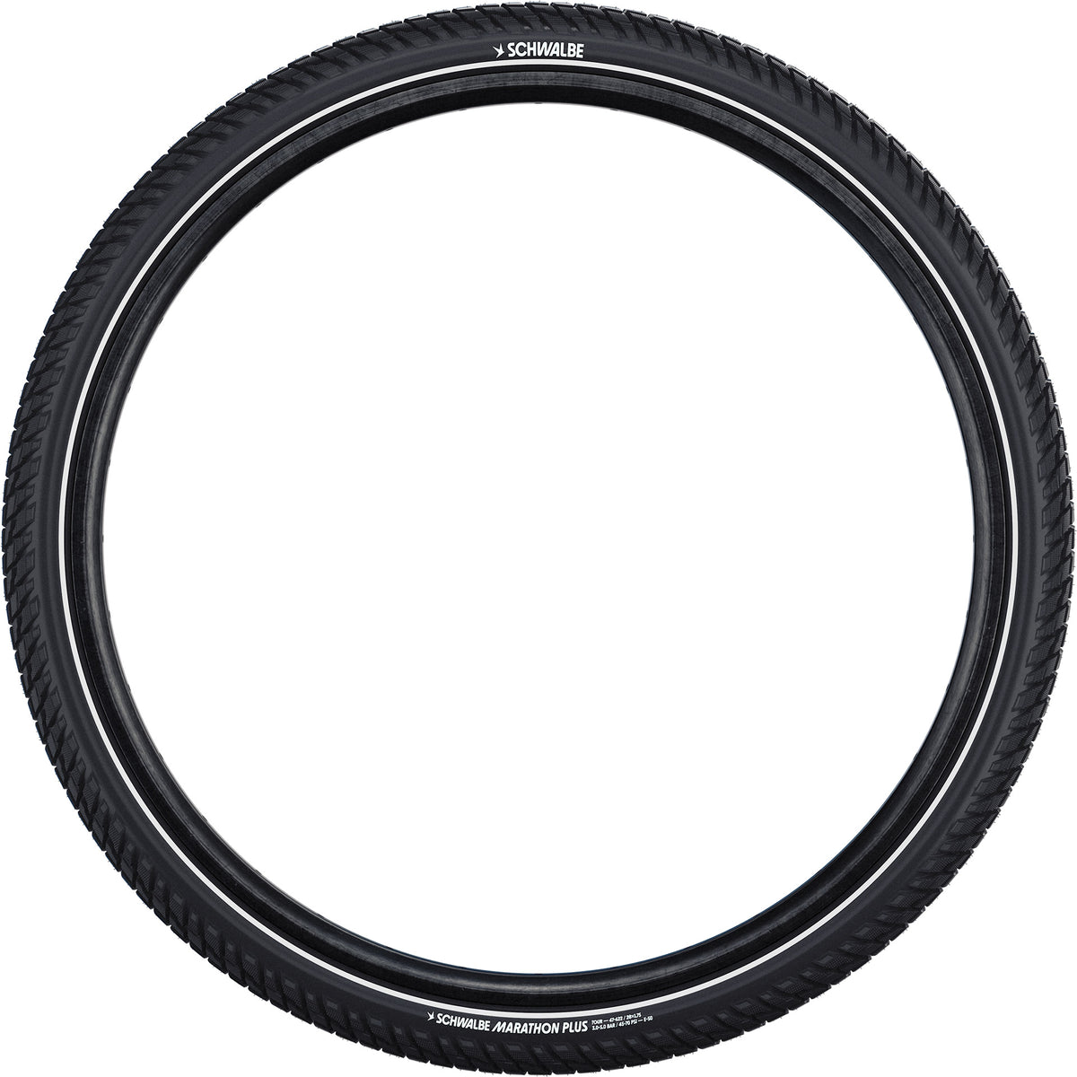 Schwalbe Clincher Maraton Plus Tour Perf 55-584 +r czarny