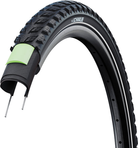 Schwalbe'a