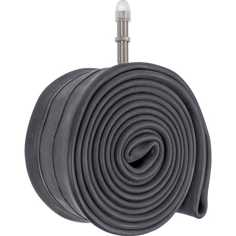 Rura Schwalbe #19l-ap 54 65-622 av40