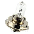 Bosma kolagowa lampa 12 V 15W P26S halogen