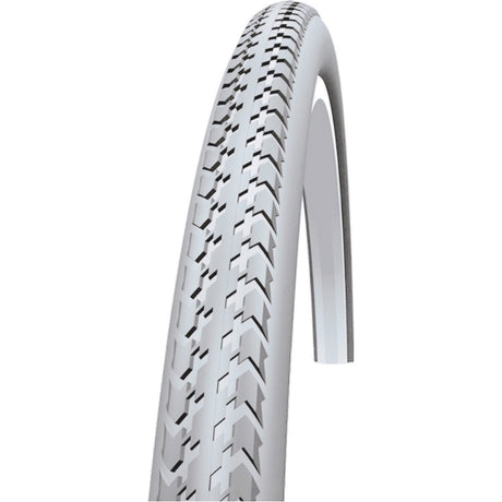 Schwalbe Basen Basic Active 37-540 Grey