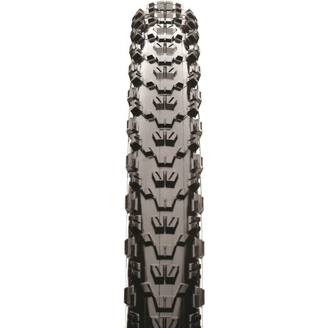 MAXXIS TION INDENT EXO TANWALL 29 x 2,25 Fold