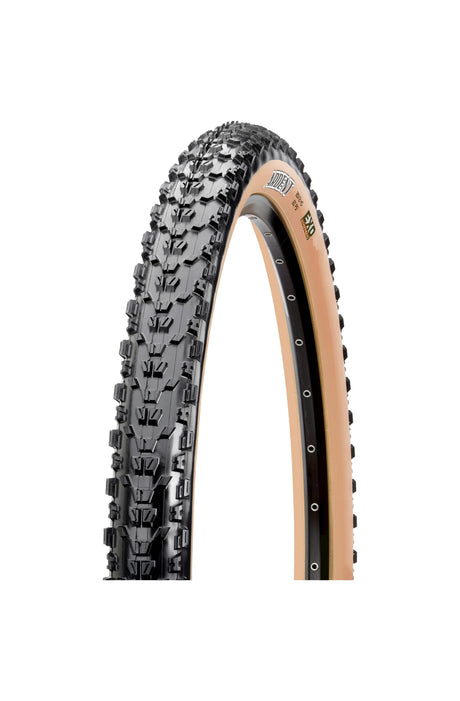 MAXXIS TION INDENT EXO TANWALL 29 x 2,25 Fold