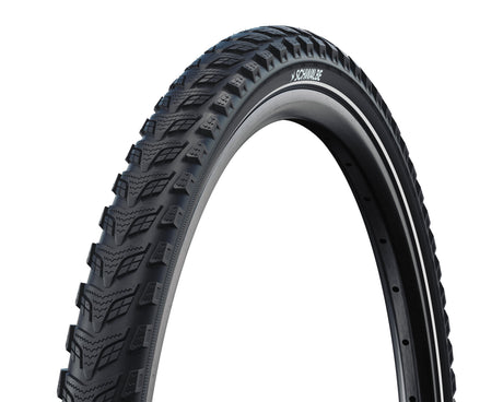Schwalbe'a