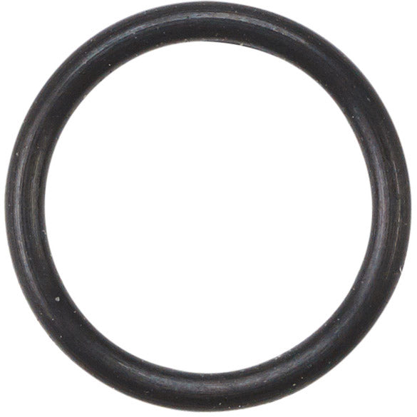 Elvedes O-ring SRAM Banjo 2019110 (20x)