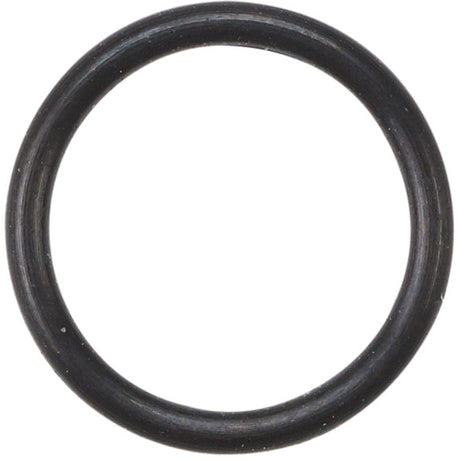 Elvedes O-ring SRAM Banjo 2019110 (20x)