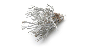 John branch ±35cm frosted white 500g