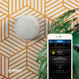 Fibaro CO