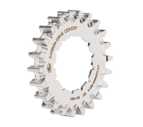 Zębatka Gates CDX 22t Rohloff wielowypustowa