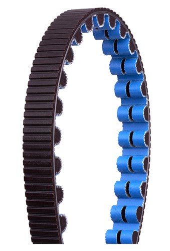 Gates CDX RIEM 115 TADS BLACK BLUE (1265 mm)