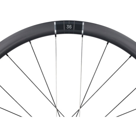 Zestaw kołowy Miche Kleos RD 36 edycja zespołowa Shimano HG bezdętkowe