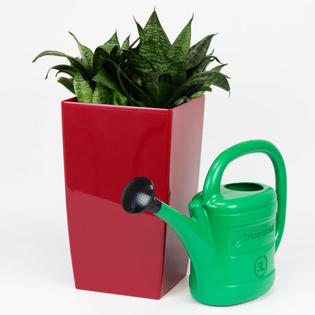 Produkty Konewka plastikowa zielona 3l z dziobkiem