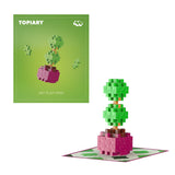 Pakiety roślin Plus Plus - topiary plus-plus rośliny kwiatowe (4341)