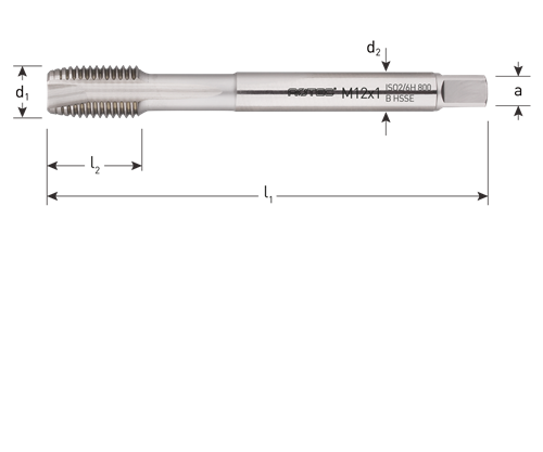 Gwint maszynowy Rotec din374 mf24x2