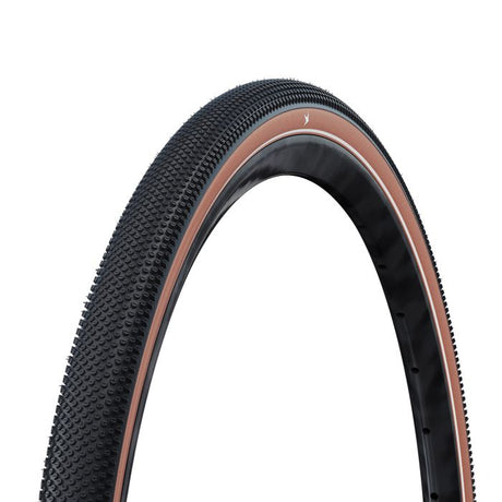 Schwalbe'a