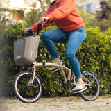 Sigma Shad Basket Daily Bike Box przód 20l szary