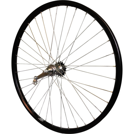 Roland Tylne Wheel 28 Andra 40 Shimano Remonaf Black