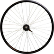 Roland Tylne Wheel 28 Andra 40 Shimano Remonaf Black