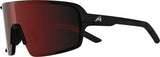Alpina lumin - okulary sportowe