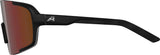 Alpina lumin - okulary sportowe