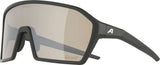Alpina ram q-lite v - okulary sportowe