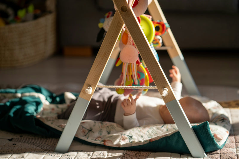 Baby Toys & Activity