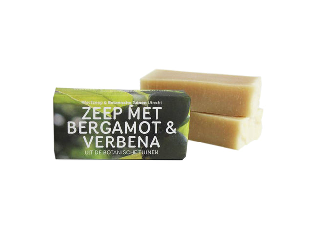 Werf mydło - Ogrody botaniczne - Bergamot Verbena