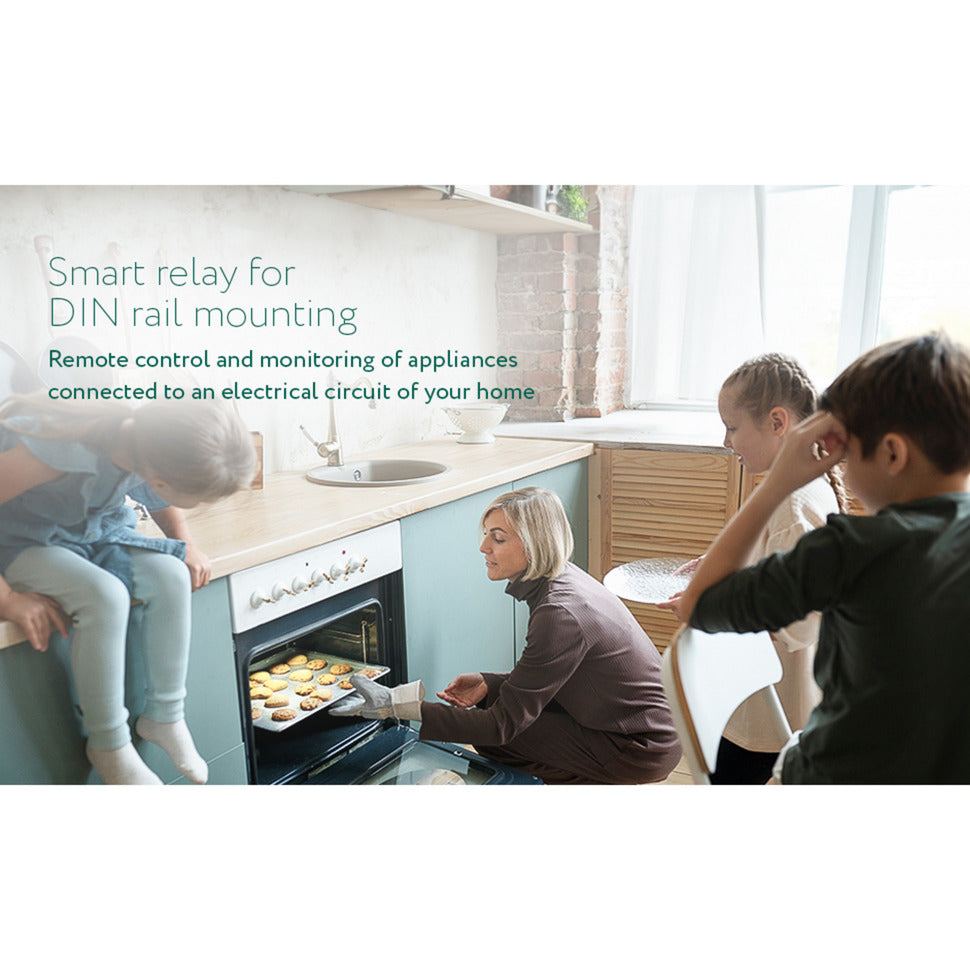 Przekaźnik przekaźnikowy Frient smart din (jasnoszary, zigbee)