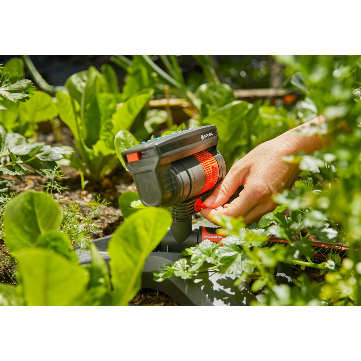 Zraszacz oscylacyjny Gardena Aquazoom Compact - zraszacz ogrodowy - od 9 do 216 m²