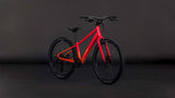 Cube numove 240 disc redrose'n'peach