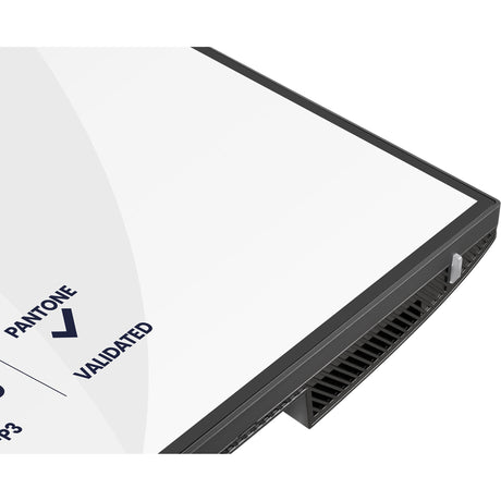 Monitor Iiyama prographic hb3201uhsnp-b1 31.5 4k UHD (czarny (matowy), hdmi, displayport, usb-c, audio)