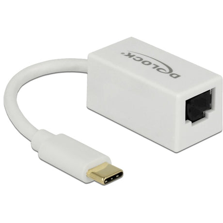 Delock superspeed USB-C (USB 3.1 gen 1) męski > kompaktowy adapter gigabit LAN 10 100 1000 Mbps (biały, 0,135 m)