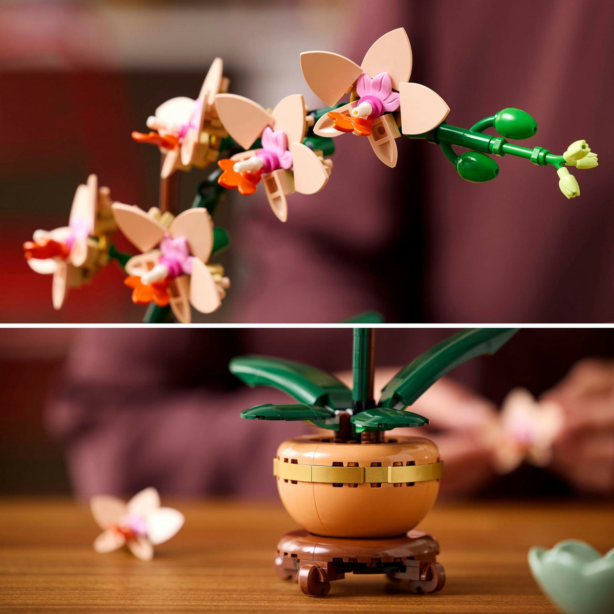 Miniorchidea Lego Botanicals - 10343